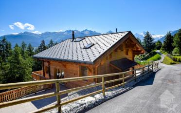 Chalet 7 rooms - image - 2