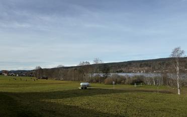 Apartment 3.5 rooms - image - 8