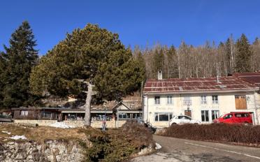 Immeuble résidentiel - image - 7