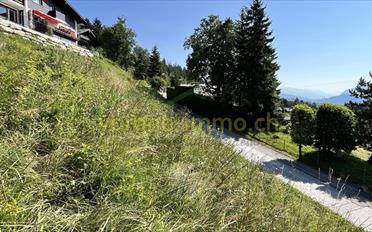 Building land - image - 5