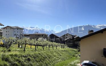 Maison jumelée 3.5 pièces - image - 10