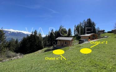 Chalet 4.5 rooms - image - 3