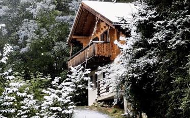 Chalet 5.5 pièces - image - 1