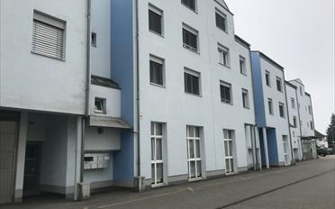 Shop - image - 2