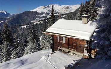 Chalet 3 Zimmer - image - 13