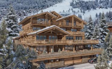 Chalet 11 pièces - image - 2