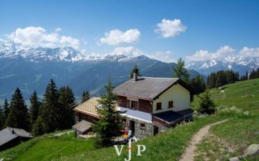 Chalet 4.5 pièces - image - 1