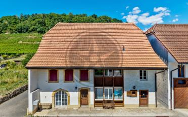 Single house - image - 1