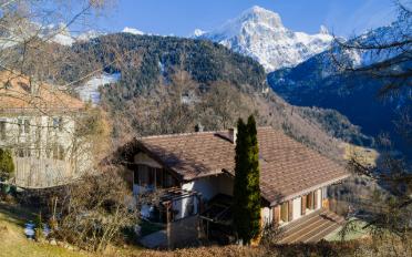 Chalet 6 Zimmer - image - 1