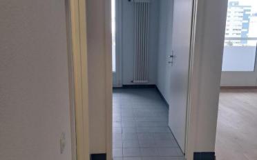 Apartment 2.5 rooms - image - 7