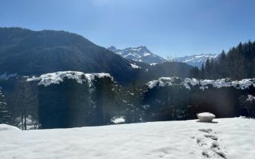 Chalet 5 rooms - image - 7