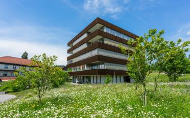 Wohnung 2.5 Zimmer - image - 1
