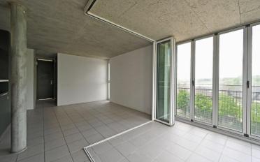 Wohnung 2.5 Zimmer - image - 5
