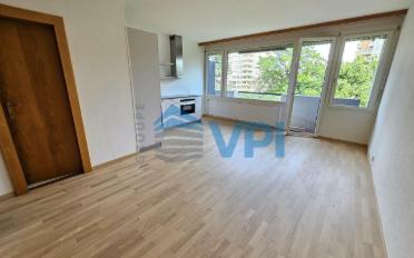 Wohnung ein Zimmer - image - 2