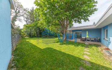 Einfamilienhaus 6.5 Zimmer - image - 1