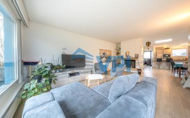 Einfamilienhaus 6.5 Zimmer - image - 3