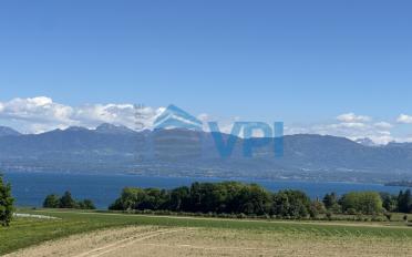 Commercial - image - 7