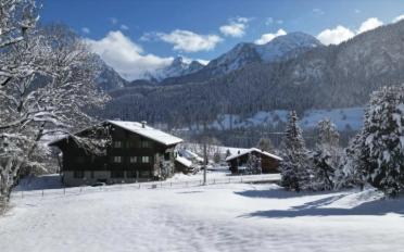 Chalet 4.5 rooms - image - 13