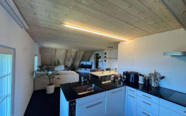 Attic flat 5.5 rooms - image - 3