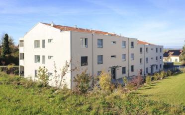 Wohnung 3.5 Zimmer - image - 2