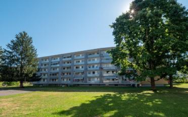 Wohnung 4.5 Zimmer - image - 2