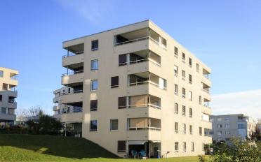 Wohnung 2.5 Zimmer - image - 2
