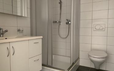 Apartment 3.5 rooms - image - 11