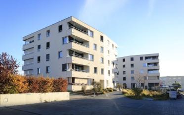 Wohnung 3.5 Zimmer - image - 1