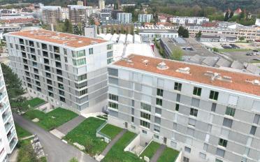 Wohnung 3.5 Zimmer - image - 2