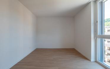 Wohnung 3.5 Zimmer - image - 8