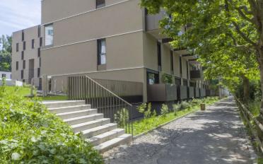 Wohnung 2.5 Zimmer - image - 5