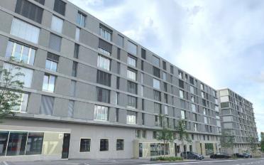 Wohnung 1.5 Zimmer - image - 1