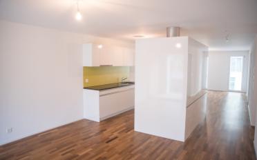 Wohnung 2.5 Zimmer - image - 6