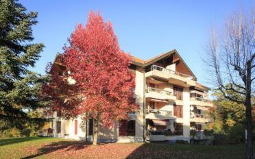 Apartment 2.5 rooms - image - 1