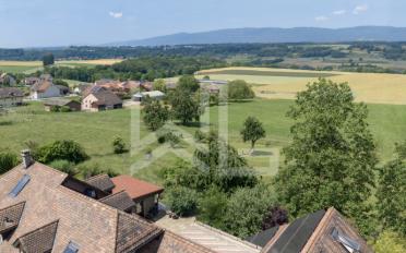 Single house 8 rooms - image - 1