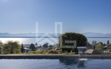 Single house 12 rooms - image - 10