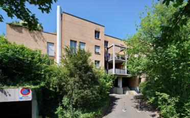 Wohnung 2.5 Zimmer - image - 1