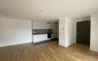 Wohnung 2.5 Zimmer - image - 2