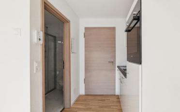 Apartment 1 room - image - 5