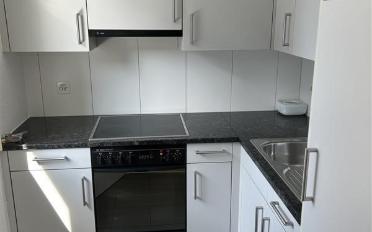 Apartment 1 room - image - 4