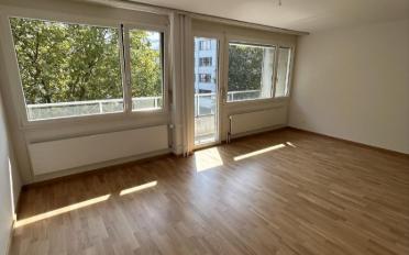 Apartment 1 room - image - 2