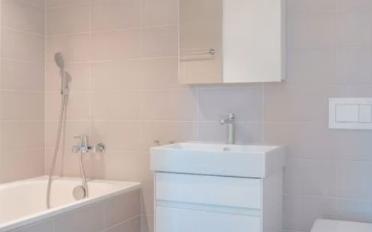 Appartement 2.5 pièces - image - 3