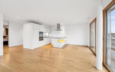 Attic flat 2.5 rooms - image - 6