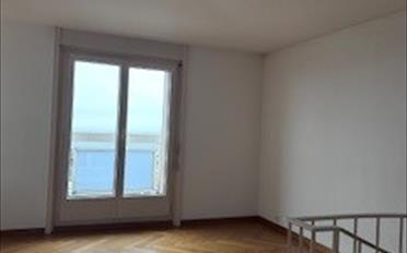 Wohnung 3.5 Zimmer - image - 8