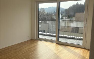 Attikawohnung 4.5 Zimmer - image - 7