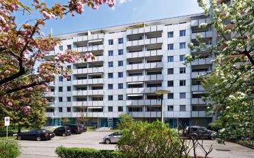 Wohnung 3 Zimmer - image - 1