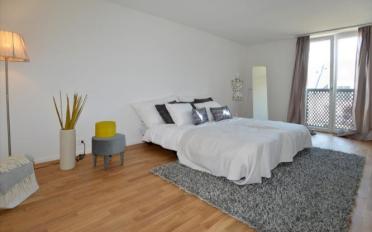 Attikawohnung 3.5 Zimmer - image - 5