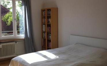 Apartment 2.5 rooms - image - 5