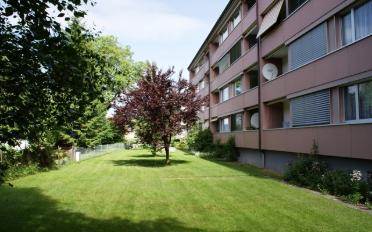 Wohnung 3 Zimmer - image - 1