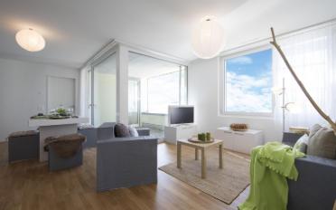 Wohnung 2.5 Zimmer - image - 2